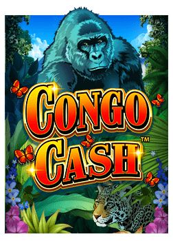 Baby Cai Shen ทดลองเล่นฟรี: ประสบการณ์สุดล้ำกับสล็อต